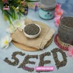Thumbnail Chia seed (4).webp